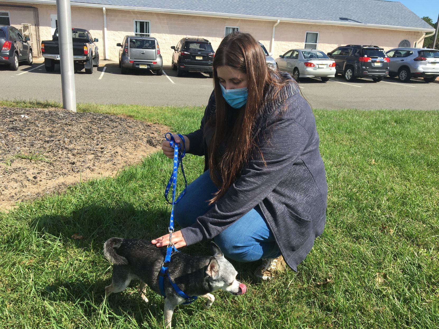 shelter dogs (22).jpeg